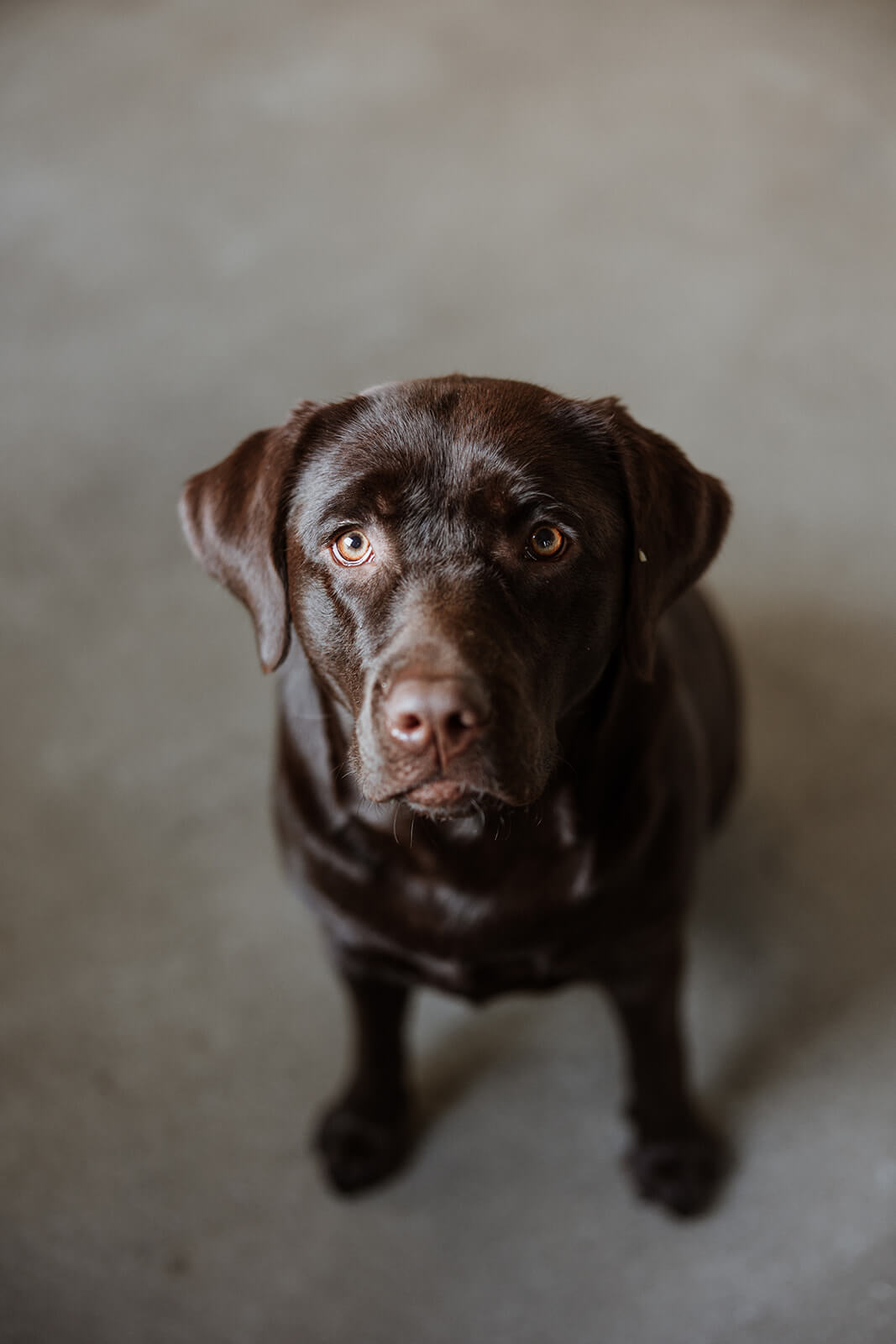 202512-ROI-Marketing-MaisonRowena-1